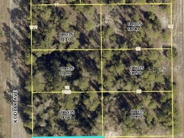 1015 KODIAK AVENUE , LEHIGH ACRES, FL 33974