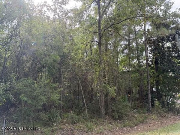 Clarence Avenue, Pass Christian, MS 39571