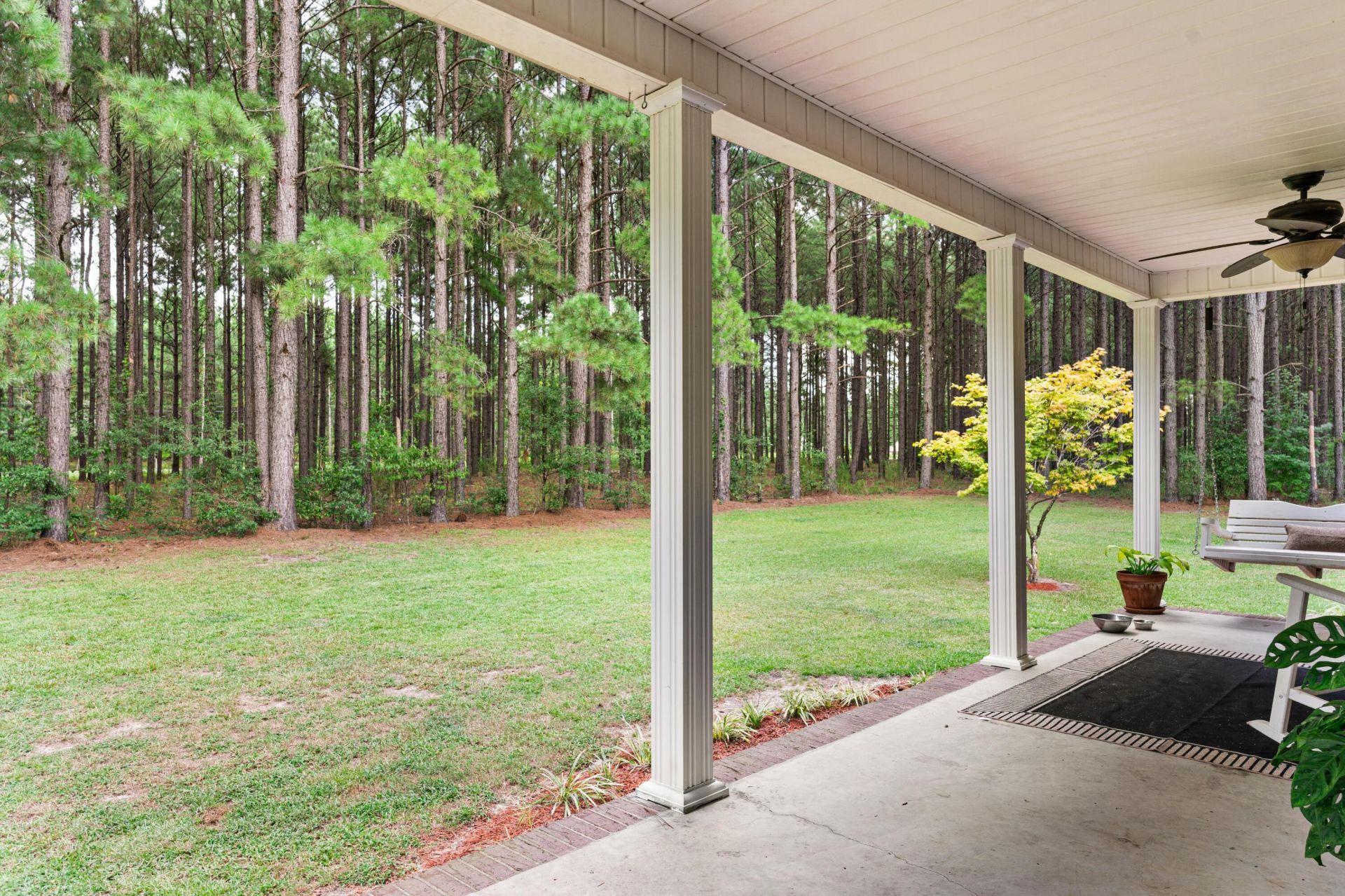 151 Sunny Plain Road Photo 26