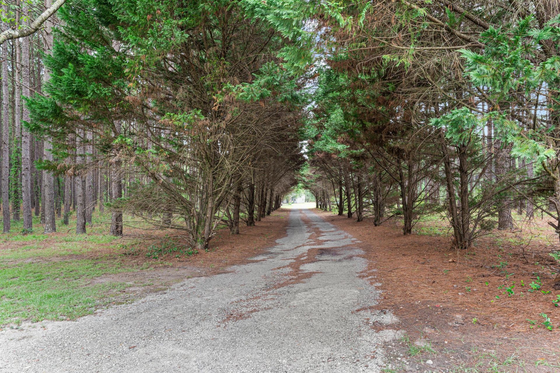 151 Sunny Plain Road Photo 36