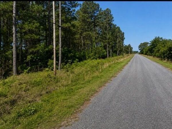 LOT 17 Honeysuckle Road, Dublin, GA 31021