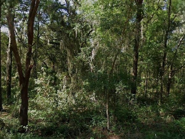 8430 W RAINBOW OAKS COURT , CRYSTAL RIVER, FL 34428