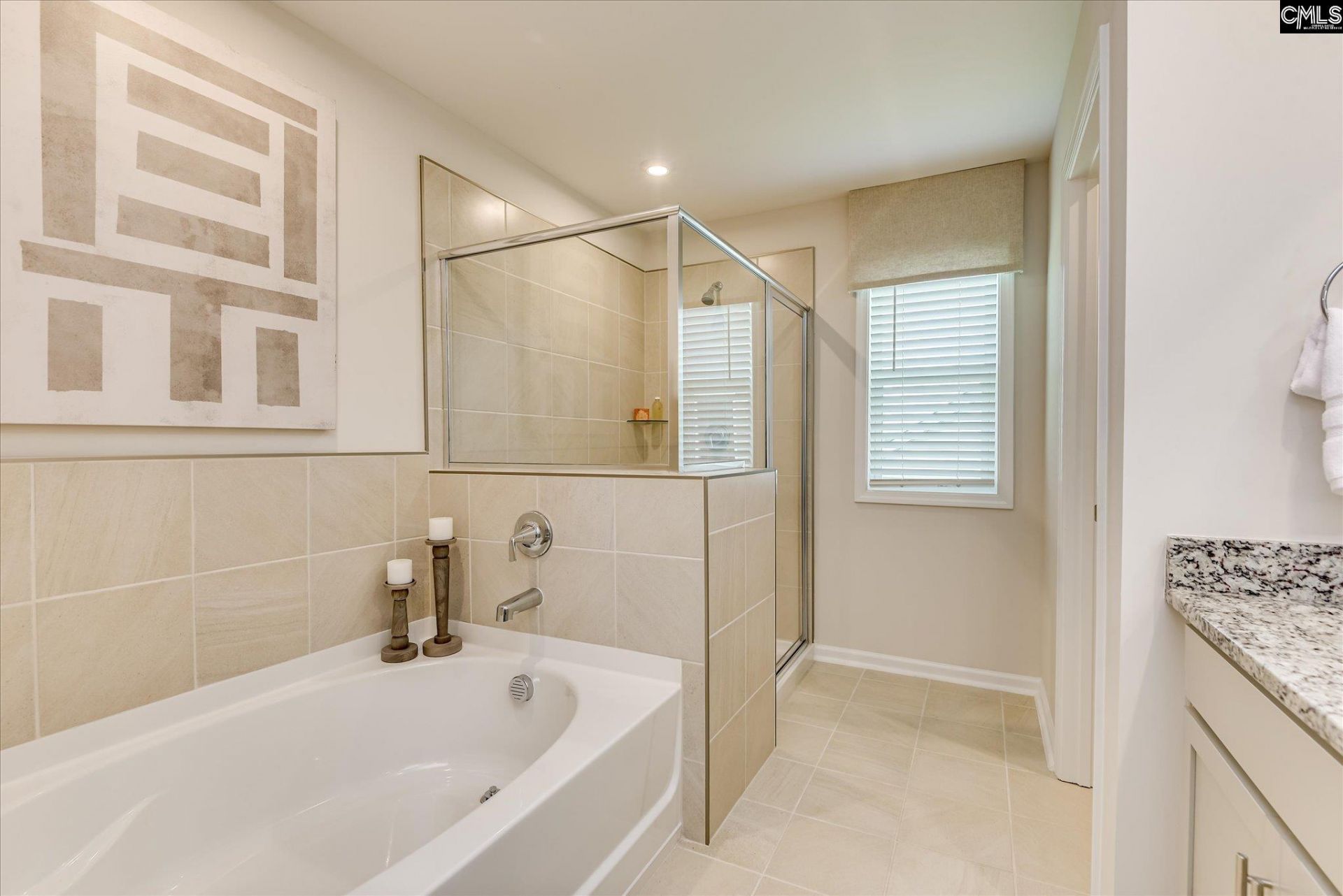 310 Summer Orchard Drive  Photo 30