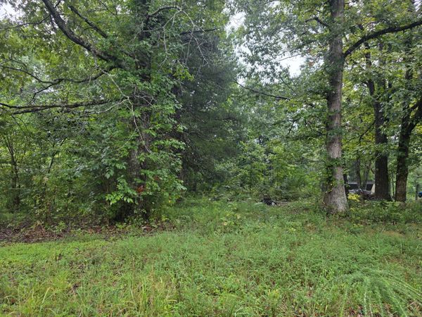 1875 Old Lock a Rd , Charlotte, TN 37036