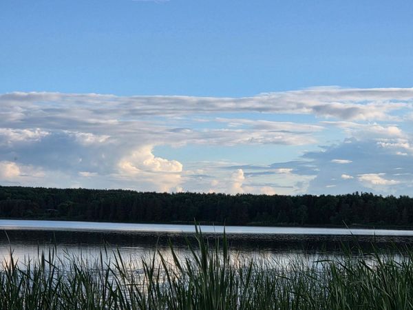TBD lot 3 190th Street , Bagley, MN 56621