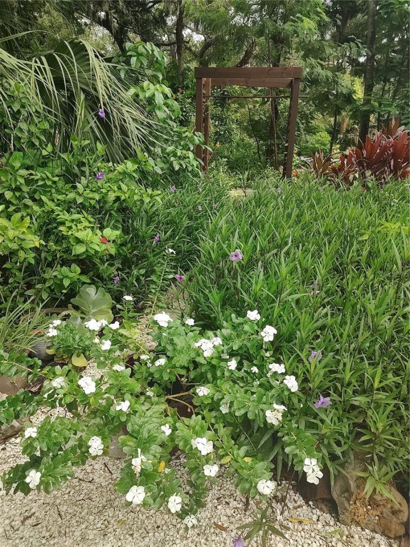 3400 Clark Drive, Sarasota, FL 34234 Photo
