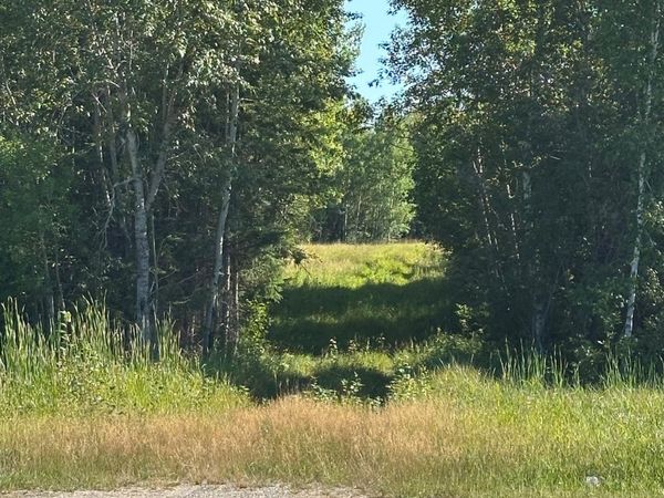 TBD ESH Acreage Highway 53 , Ray, MN 56669