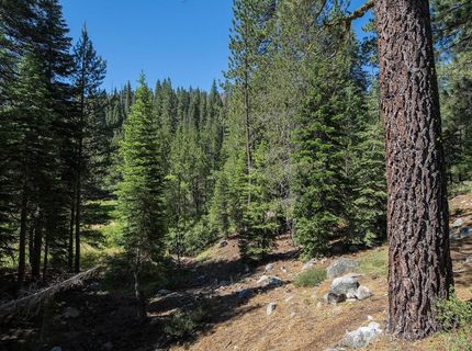 227 Olympic Valley Road , Unit #24, Olympic Valley, CA 96416 Photo
