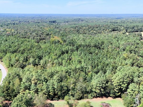 00 Mount Pleasant Road , Beech Bluff, TN 38313