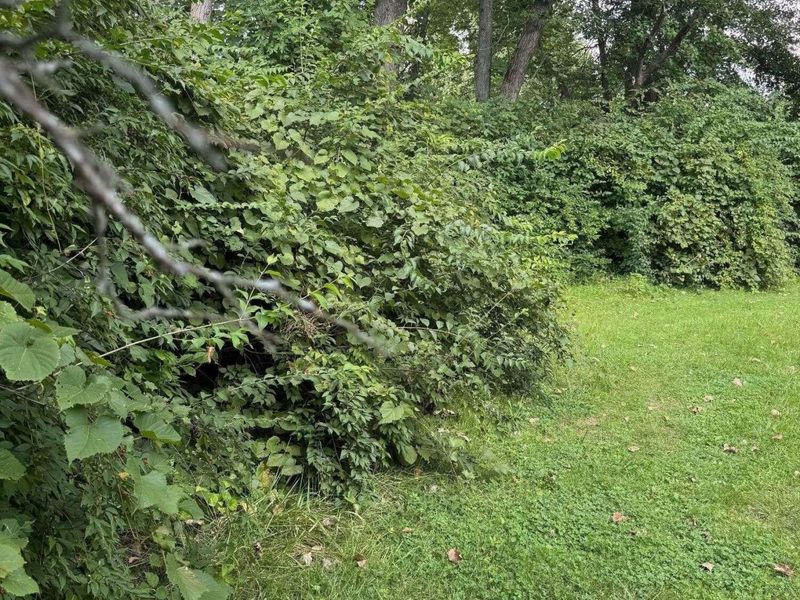 0 Maple Street, Unit Lot 2, Urbancrest, OH 43123 Photo 3