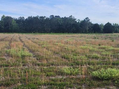 0 Broxton Bridge Road, Bamberg, SC 29003