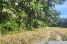 0 Broxton Bridge Road photo 4