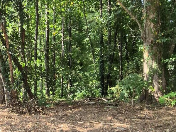 1077 Crooked Creek Road, Lithonia, GA 30058