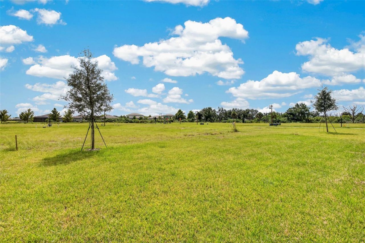 10924 Rabbit Grove Trail , Parrish, FL 34219 Photo