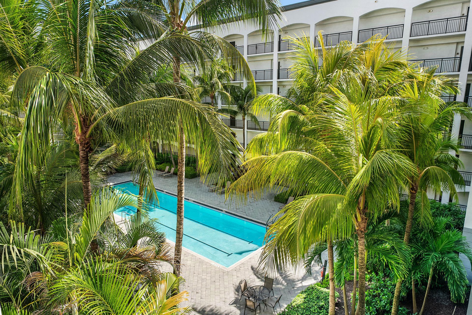 1660 Renaissance Commons Boulevard, Unit 2421, Boynton Beach, FL 33426 Photo