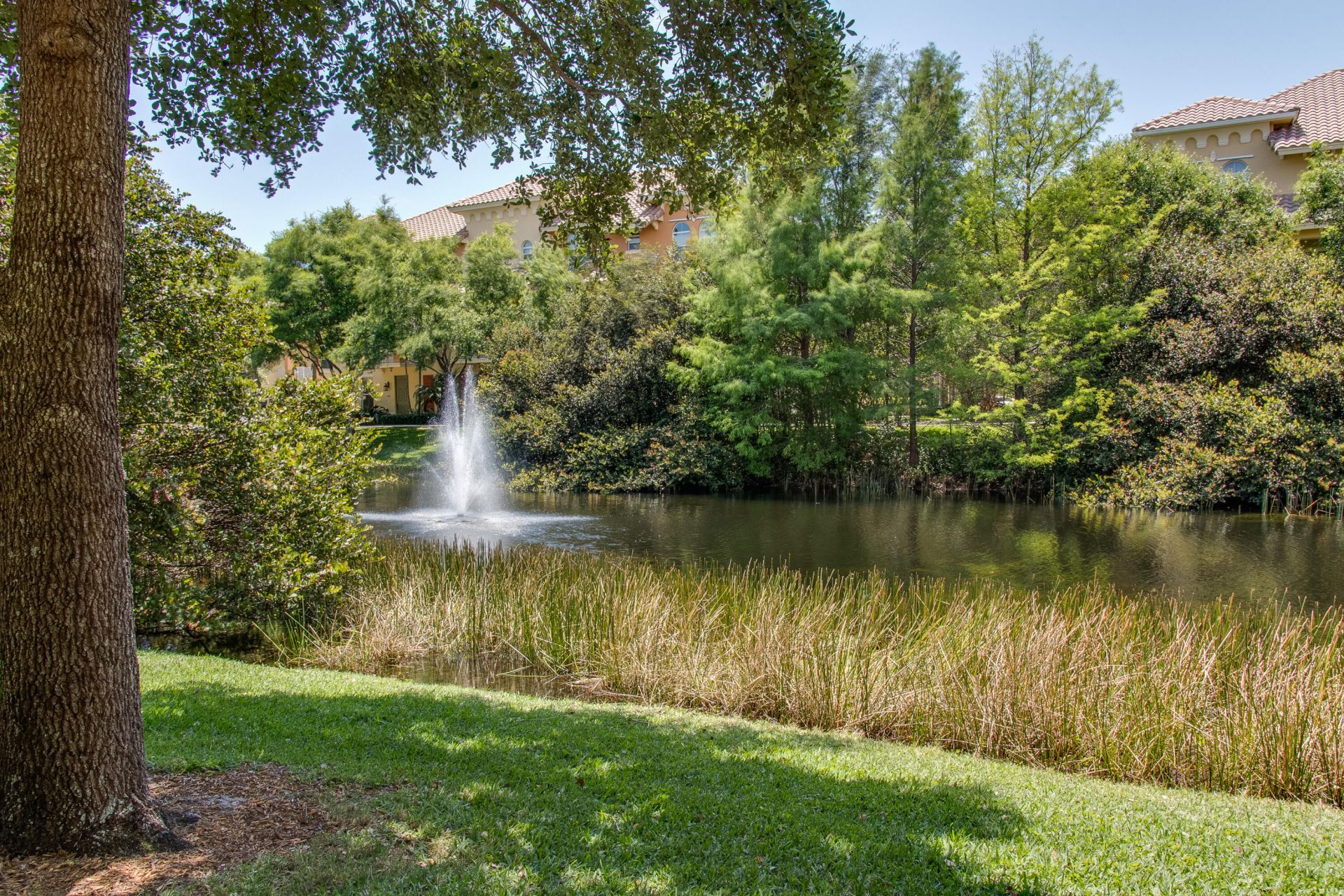 1660 Renaissance Commons Boulevard, Unit 2421, Boynton Beach, FL 33426 Photo