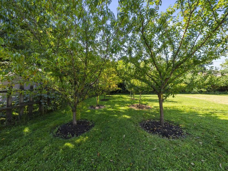 2543 E Livingston Avenue, Columbus, OH 43209 Photo 38