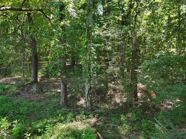 000 Fezzell Road, Decatur, TN 37322