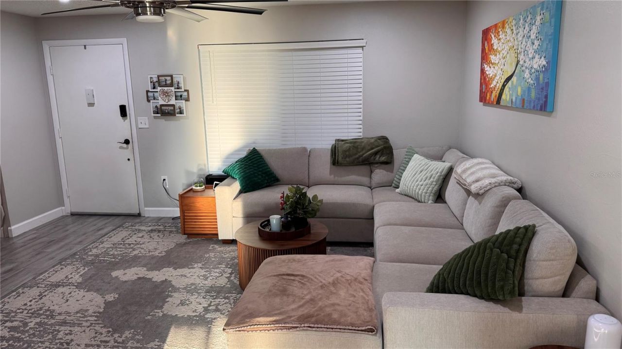 3602 Monte Rio Street, New Port Richey, FL 34655 Photo