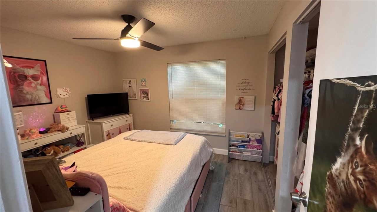 3602 Monte Rio Street, New Port Richey, FL 34655 Photo