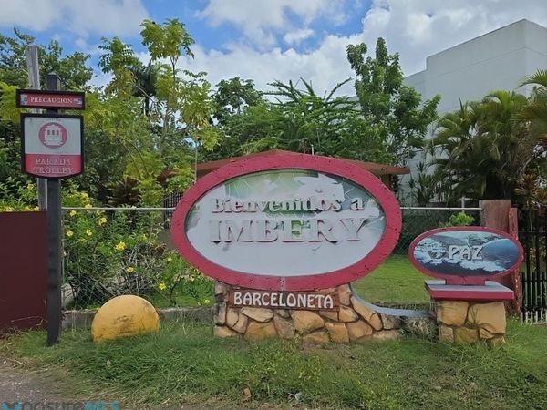 58 COMM. IMBERY BO. FLORIDA CALLE CORAZON (3), Barceloneta, PR 00617