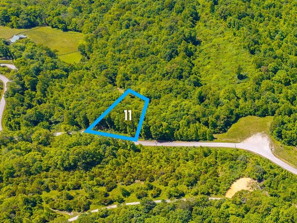 Saddleridge Drive, Speedwell, TN 37870