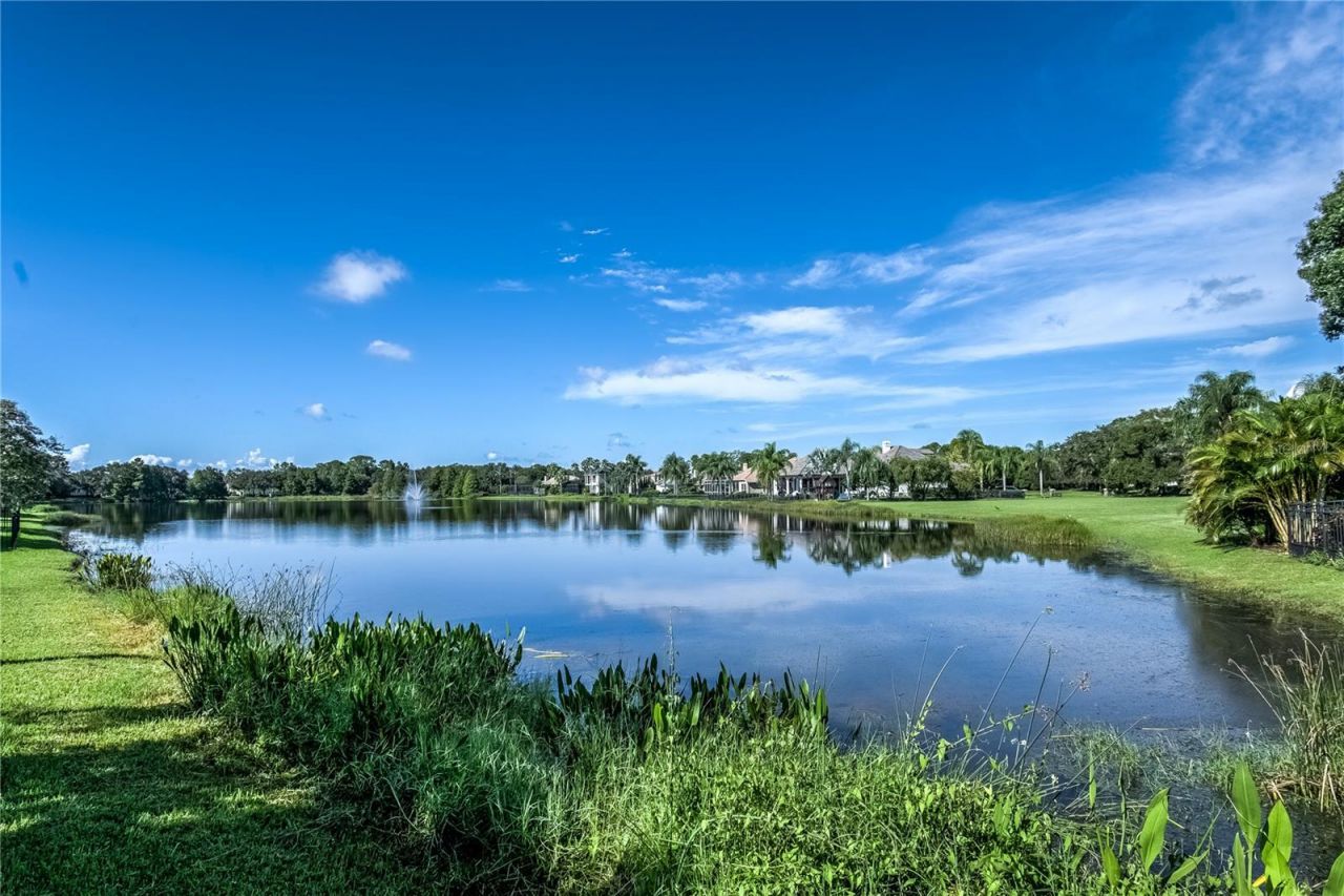 14732 San Marsala Court, Tampa, FL 33626 Photo