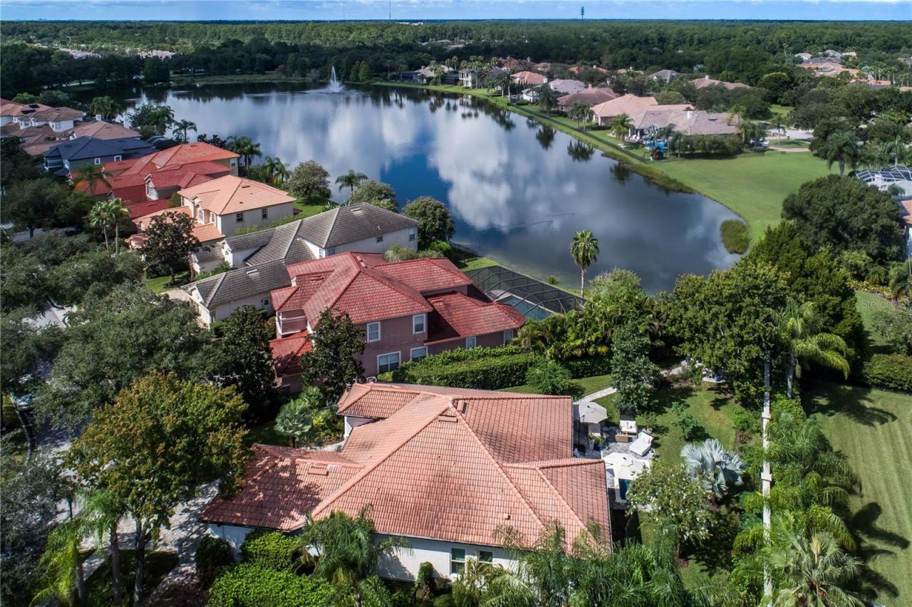 14732 San Marsala Court, Tampa, FL 33626 Photo
