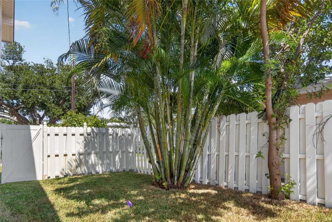 1494 85th Avenue N, Saint Petersburg, FL 33702 Photo