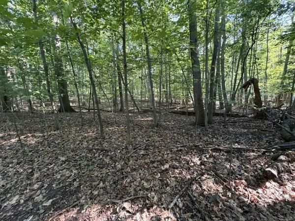 W Cherry Street, Ludington, MI 49431