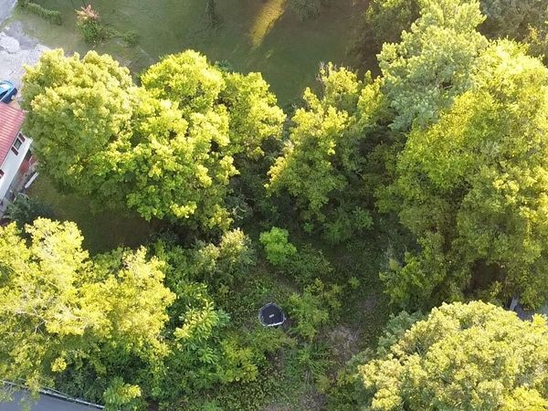 141 Blazer St, Newport, TN 37821