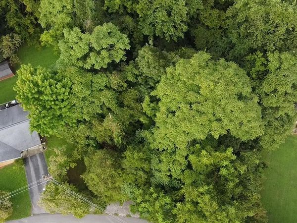 Cliffwood Drive, Newport, TN 37821