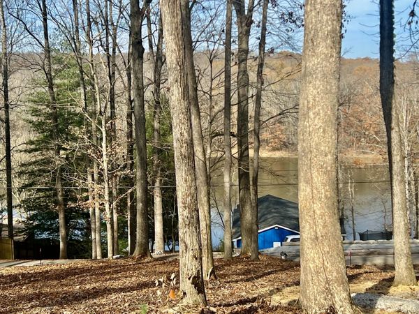 559 Hickman Shores Rd , Unit 116, Dover, TN 37058