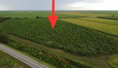 Us 27 State Road 80, Clewiston, FL 33440 Photo