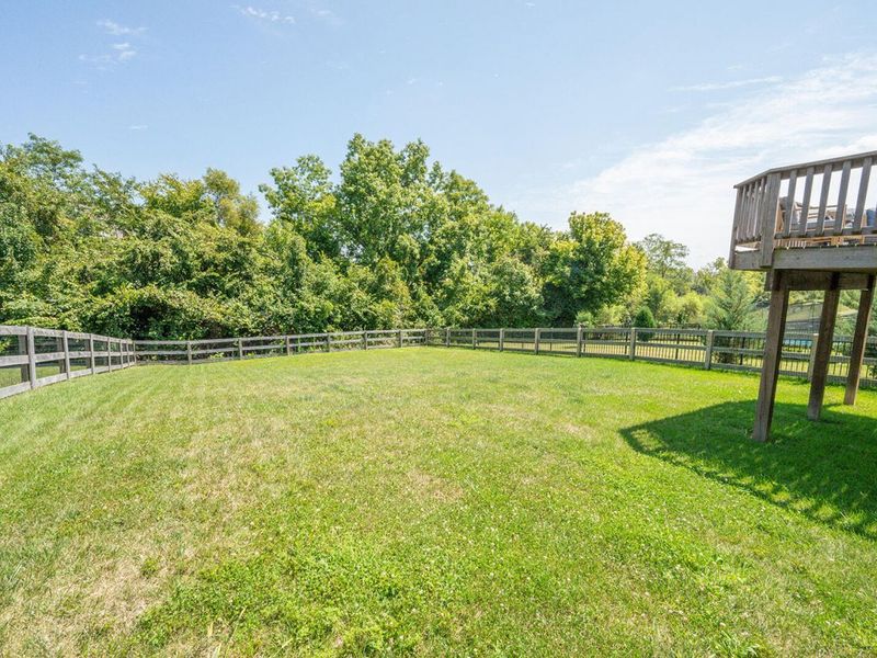 1580 Cherry Blossom Drive, Independence, KY 41051 Photo 35