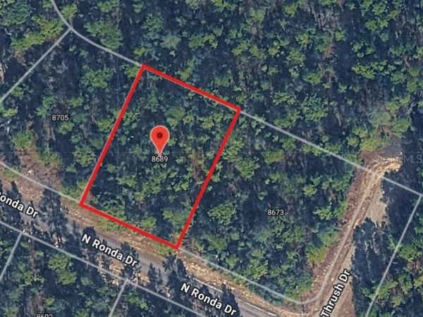 8689 N RONDA DRIVE , CITRUS SPRINGS, FL 34433