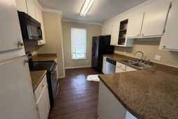 204 Woodchase Lane  photo 4