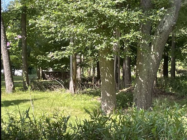 0 Maple Road, Sawyer, MI 49125