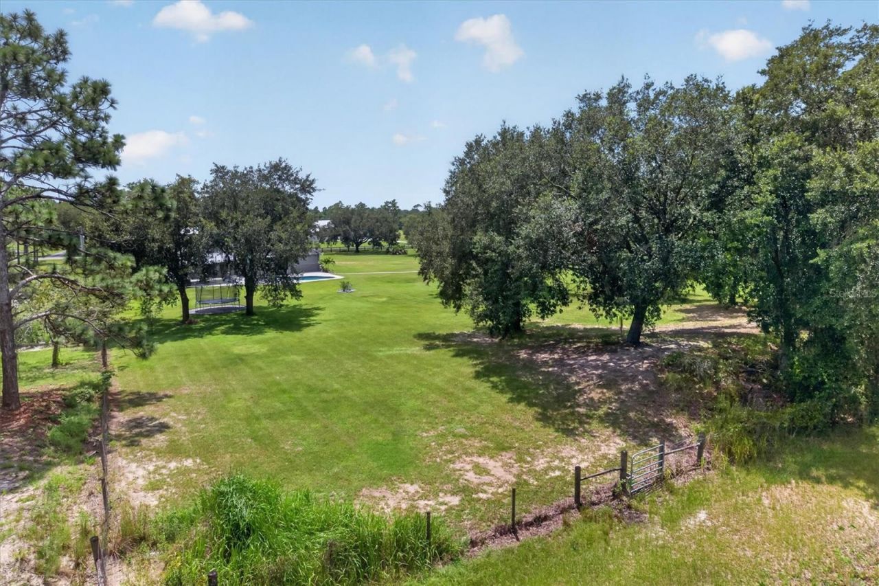 19749 Quinella Street, Orlando, FL 32833 Photo