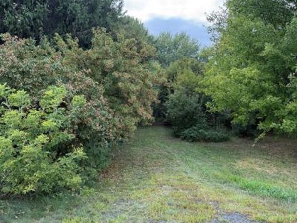 5956 County Hwy H, Stanley, WI 54768
