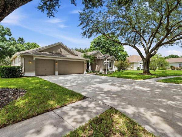 13756 DOWLING LANE, ODESSA, FL 33556