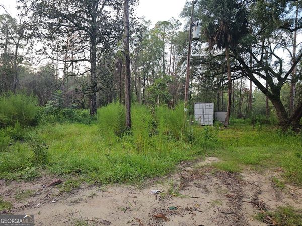 373 Carl Burney Road, Hortense, GA 31543