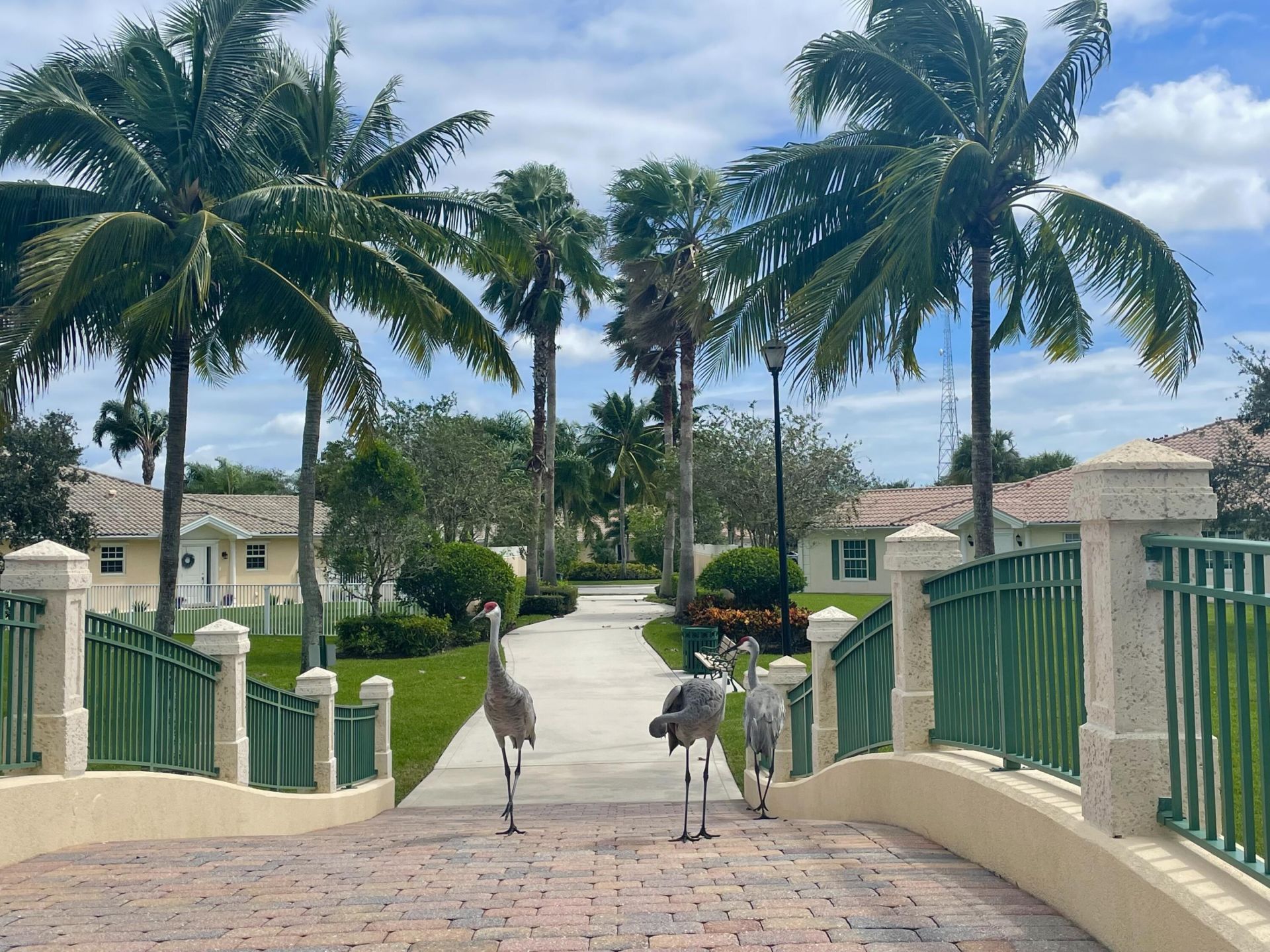 8262 Dominica Place, Wellington, FL 33414 Photo
