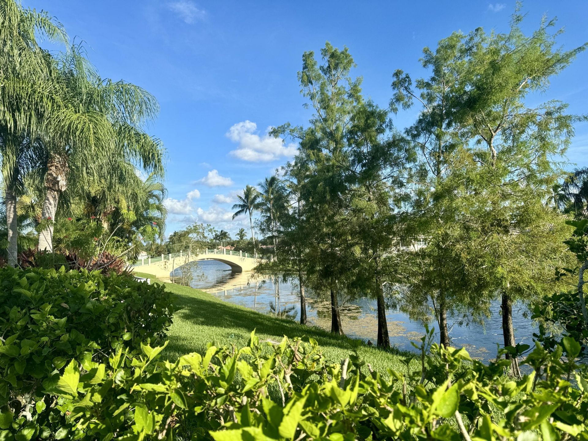 8262 Dominica Place, Wellington, FL 33414 Photo