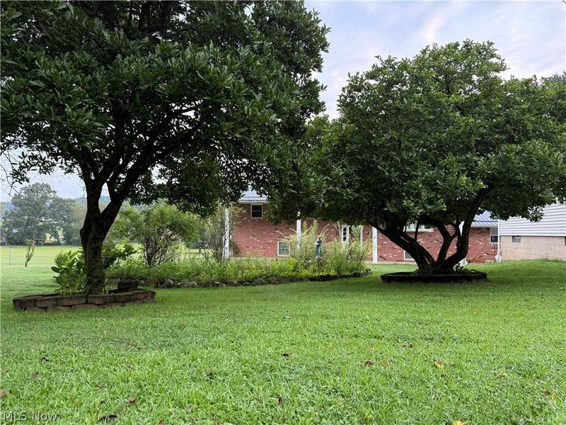 3159 & 3165 University Drive SE, New Philadelphia, OH 44663 Photo 3