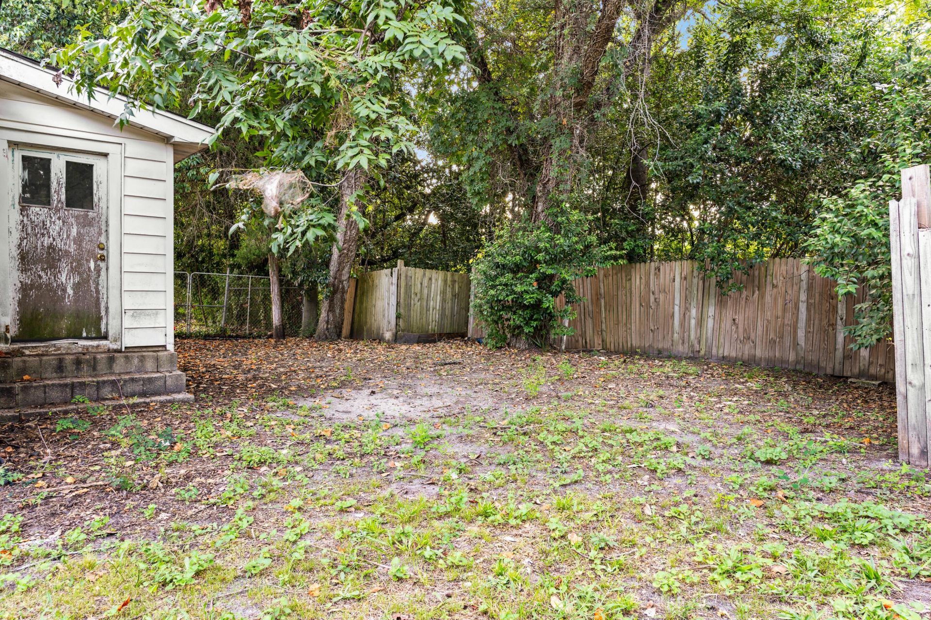 557 Louis Street Photo 18