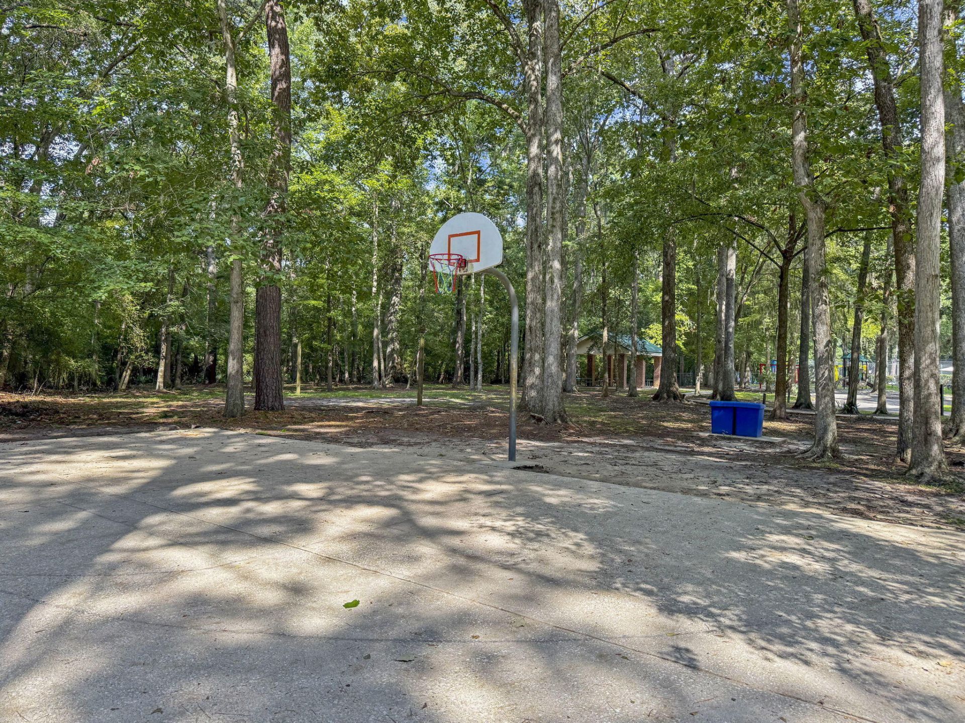 108 New Spring Court Photo 33
