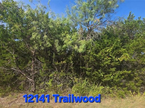 12141 Trailwood Drive , Whitney, TX 76692
