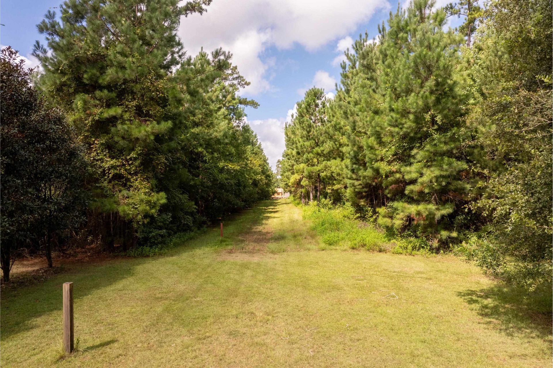 Xx Adrienne Drive , Tallahassee, FL 00000 Photo
