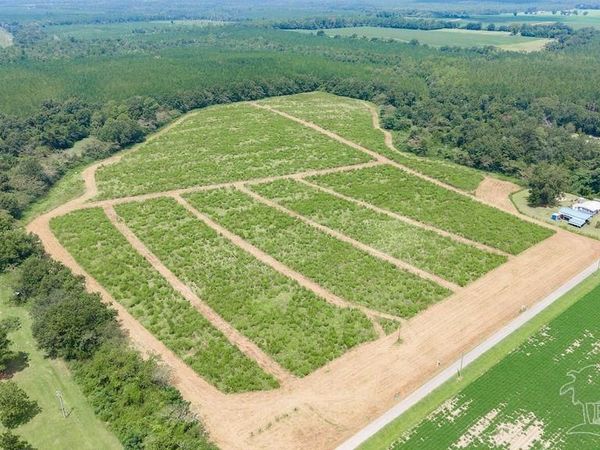 Lot 7 Whistler Ln, Jay, FL 32565